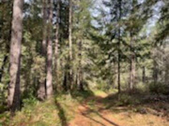 Land for sale in Butte, California