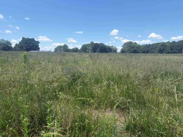 Land for sale in Cullman, Alabama