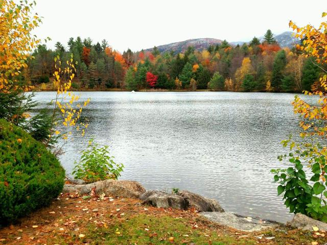 Condo for sale in New Hampshire