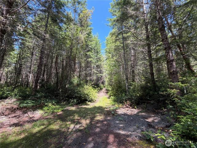 Land for sale in Quilcene, Washington