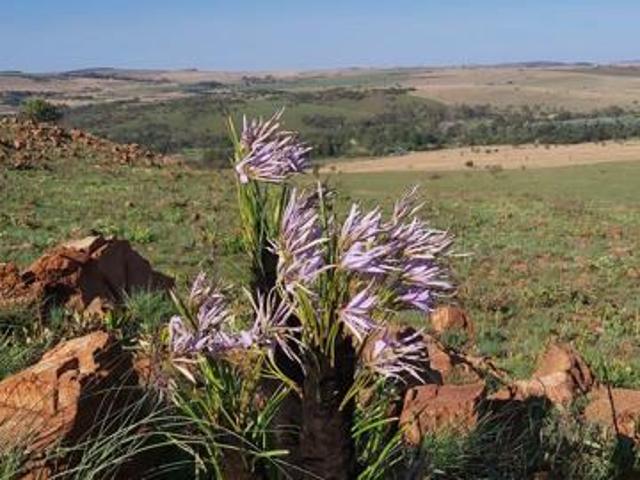 Land for sale in Westonaria, Gauteng