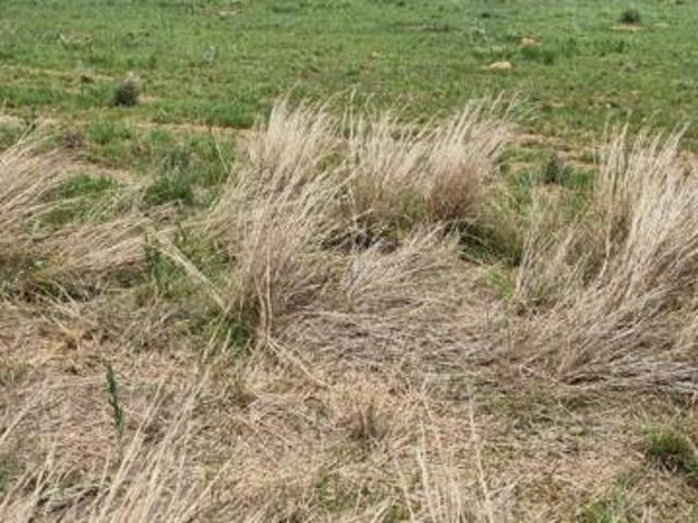 Land for sale in Westonaria, Gauteng