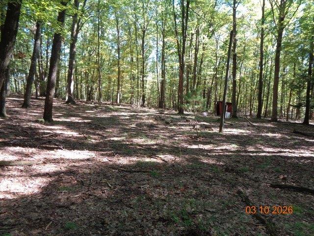 Land for sale in Strattanville, Clarion County