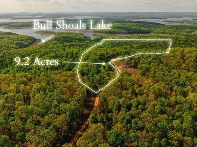 Land for sale in Theodosia, Missouri