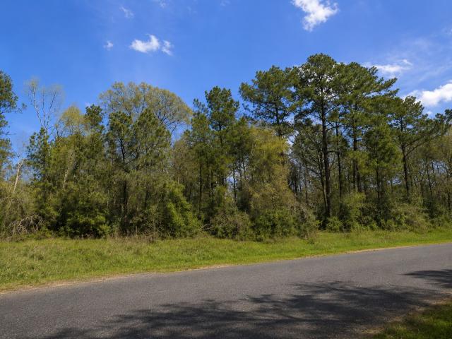 Land for sale in Walker, Texas