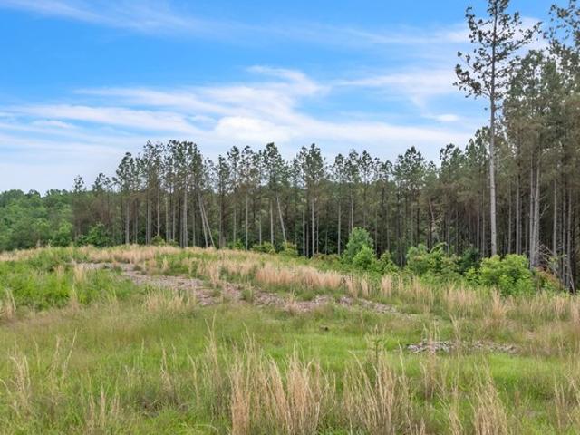 Land for sale in Tennessee