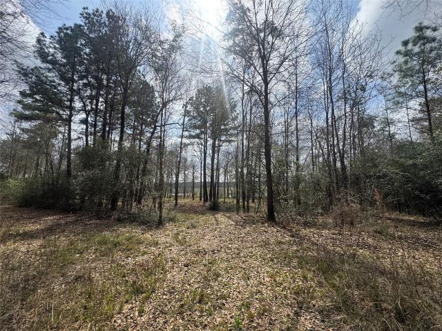 Land for sale in Walker, Texas