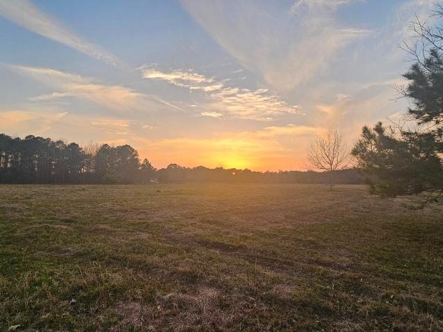 Land for sale in Wallace, North Carolina