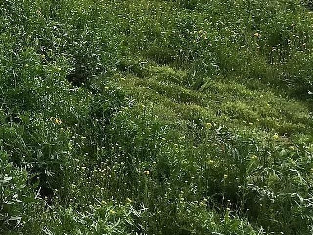Land for sale in Riverside, California