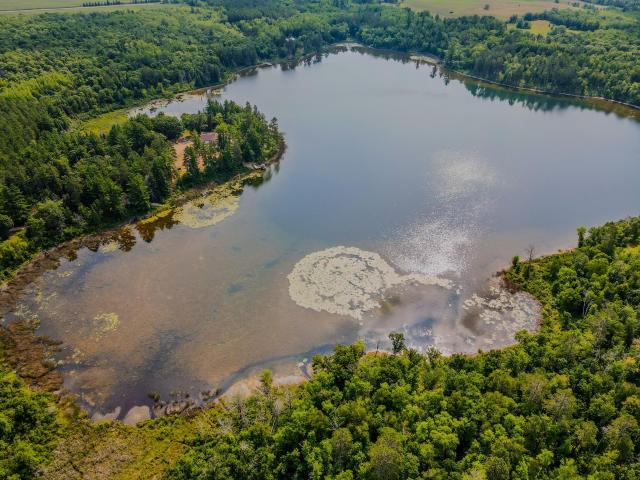 Land for sale in Hubbard, Minnesota