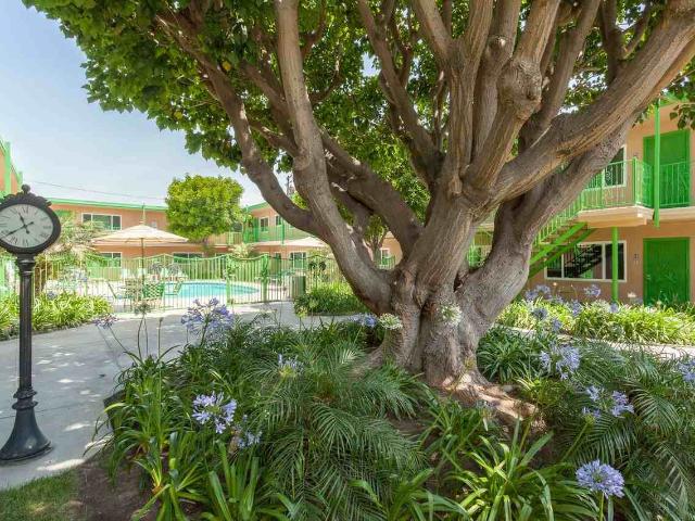 Apartment for rent in Bellflower, California