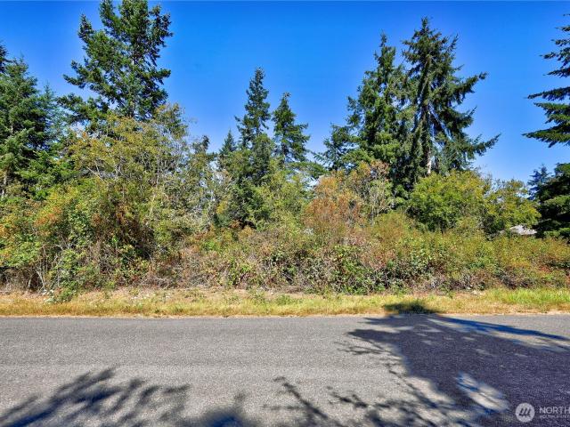 Land for sale in Dundee Hill, Port Townsend