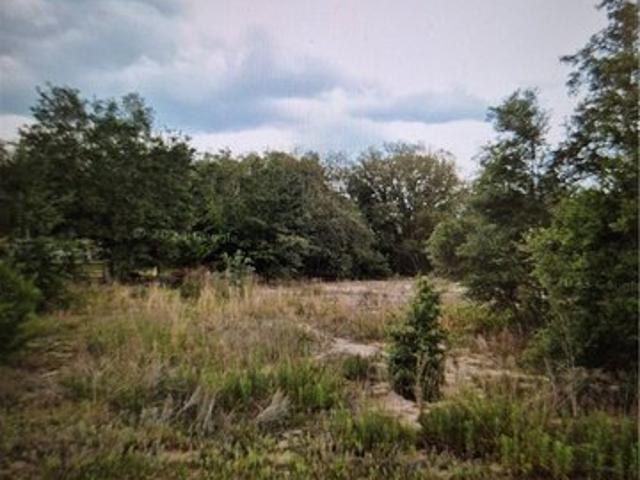Land for sale in Hernando, Florida