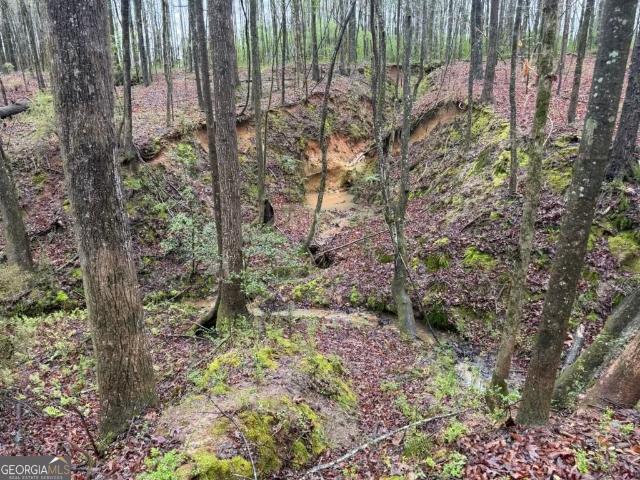 Land for sale in Oconee, Georgia