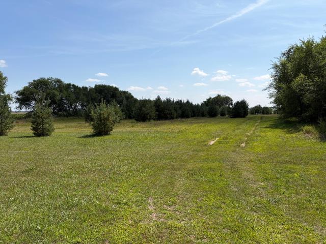 Commercial for sale in Long Prairie, Todd County