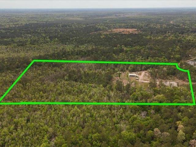 Land for sale in Newton, Texas