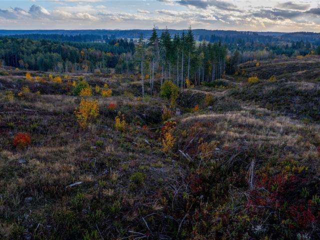 Land for sale in Thurston, Washington
