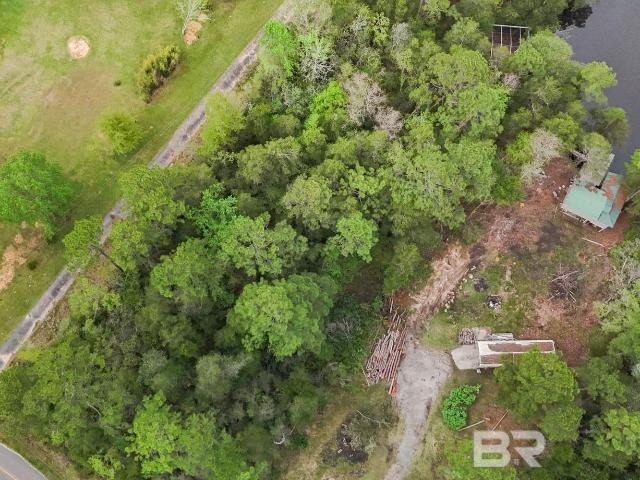 Land for sale in Seminole, Alabama