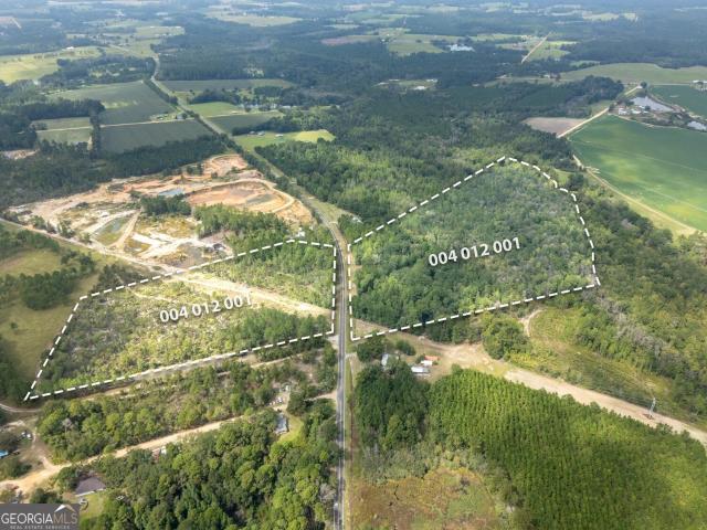 Land for sale in Claxton, Evans County