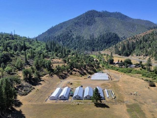 House for sale in Hayfork, California