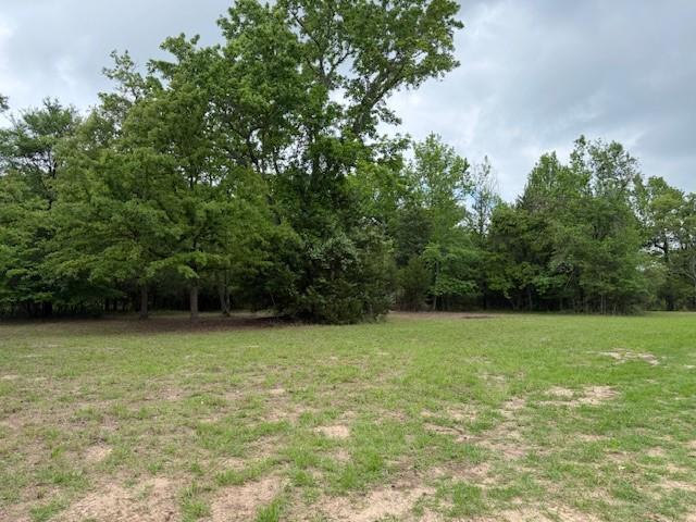 Land for sale in Leon, Texas