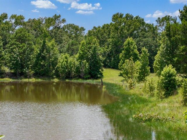 Land for sale in Leon, Texas