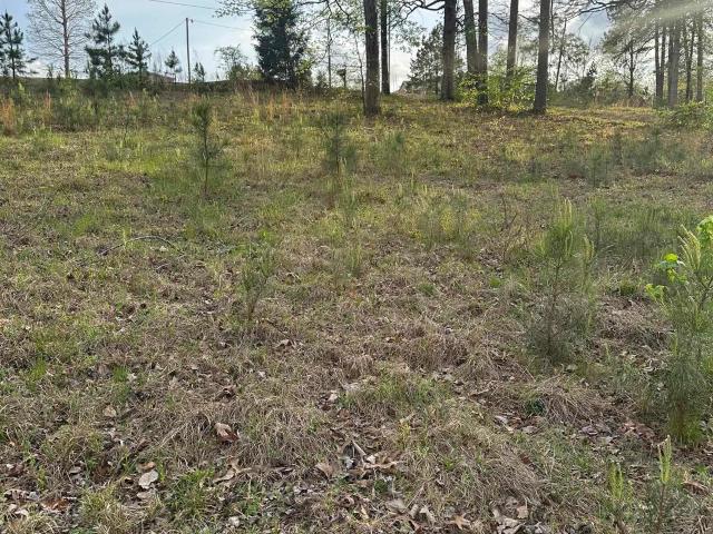 Land for sale in Ark