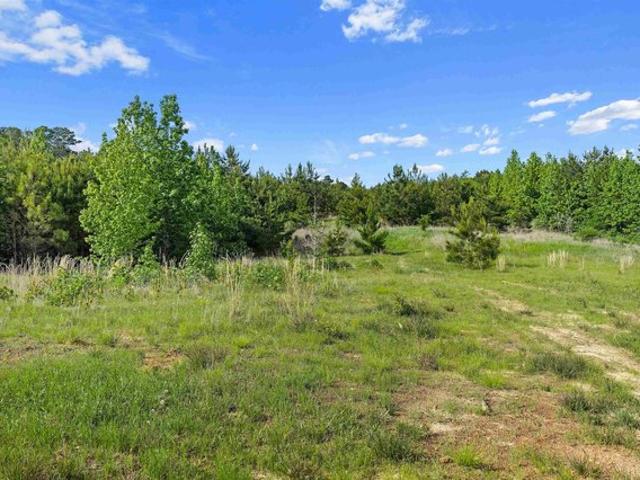 Land for sale in Henderson, Texas