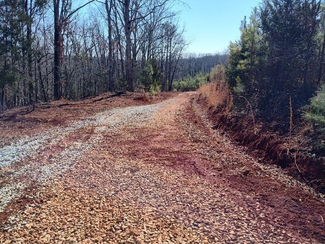 Land for sale in Elbert, Georgia