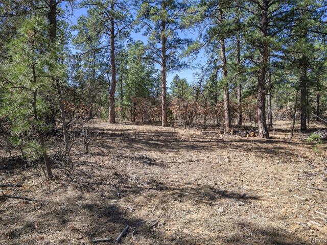 Land for sale in Weston, Colorado
