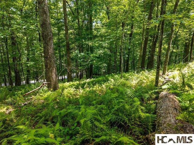 Land for sale in Transylvania, North Carolina