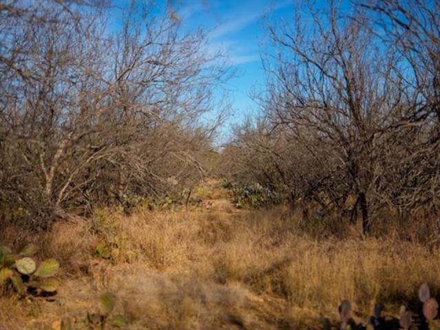 Farm for sale in Carrizo Springs, Texas