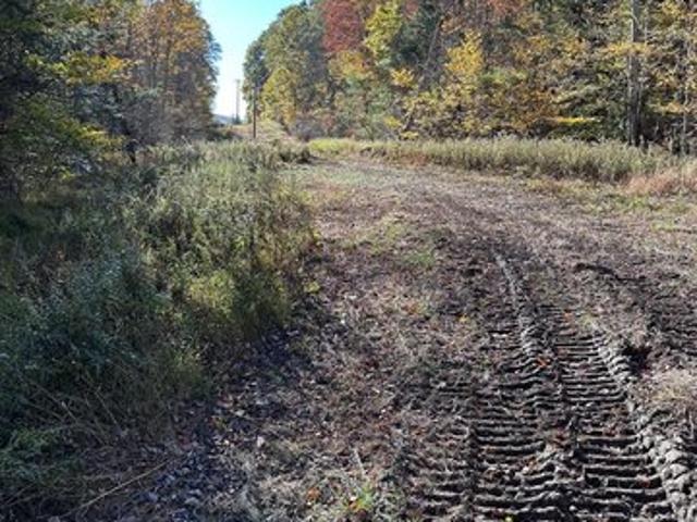 Land for sale in Noxen, Pennsylvania