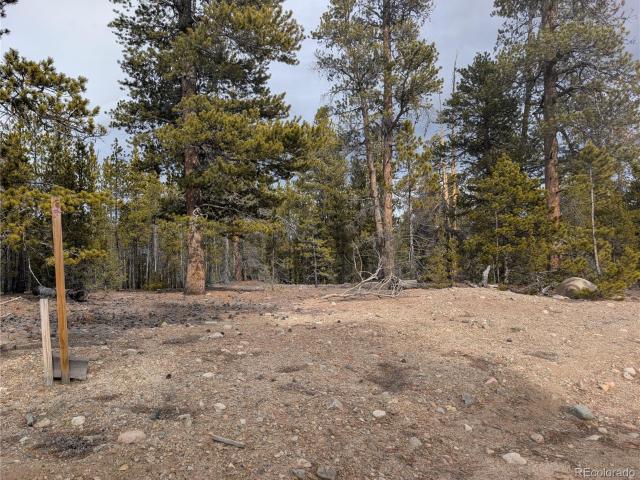 Land for sale in Twin Lakes, Colorado