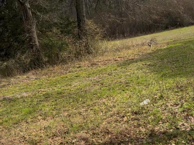 Land for sale in Marion, Alabama