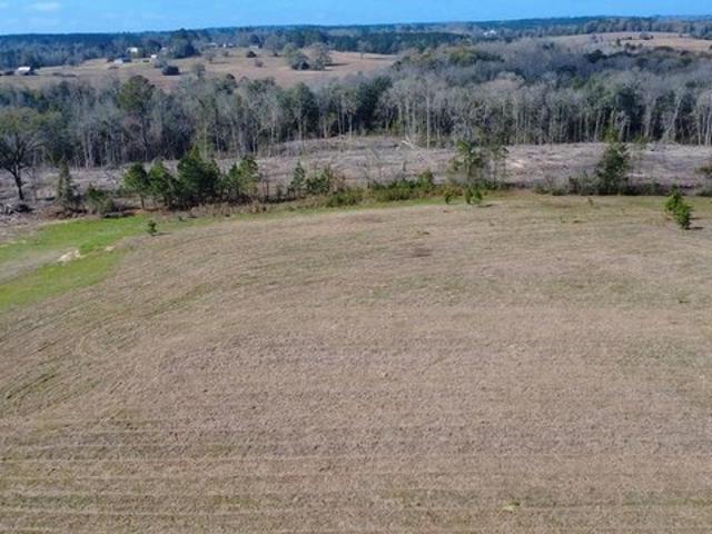 Land for sale in Dale, Alabama