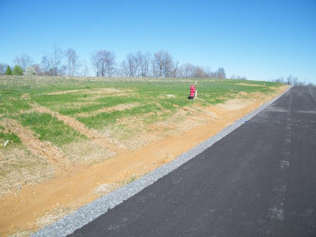 Land for sale in Tennessee