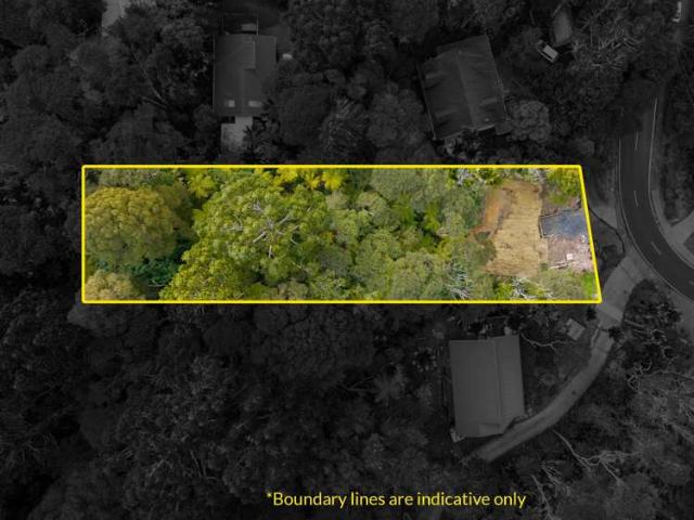 Land for sale in Oratia