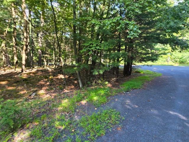 Land for sale in Delaware Township, Pike County