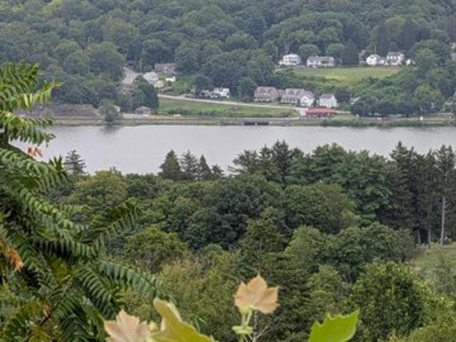 Land for sale in Connelly, New York