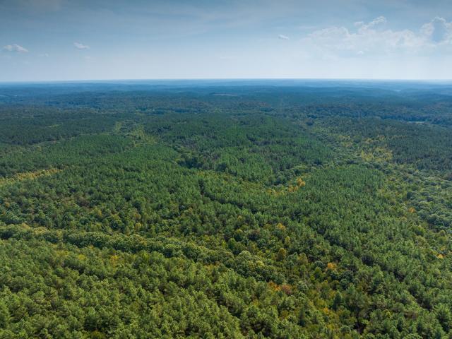 Land for sale in Hohenwald, Middle Tennessee