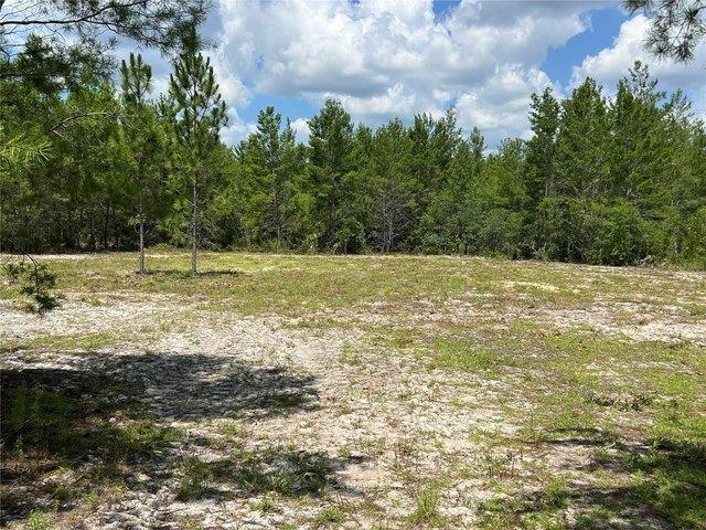 Land for sale in Archer, Florida