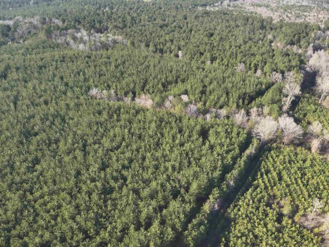 Land for sale in Stephens