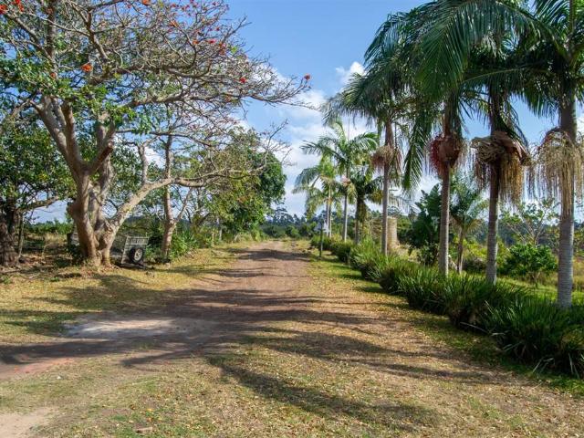 Farm for sale in Ugu District Municipality, Kwazulu-natal