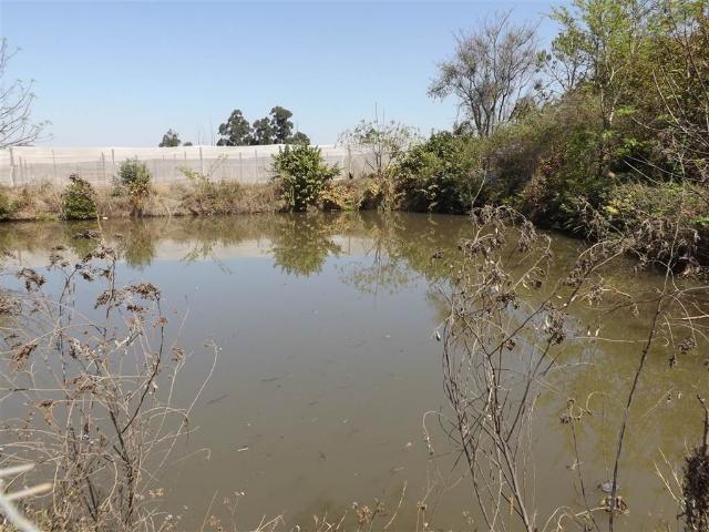 Farm for sale in Ehlanzeni, Mpumalanga