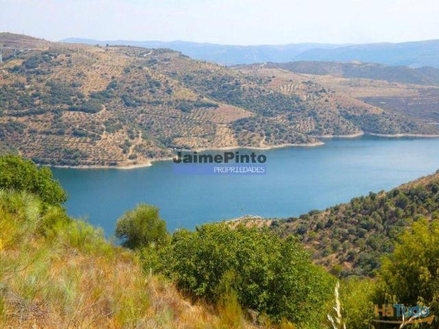 Terreno venda em Alfândega Da Fé, Bragança