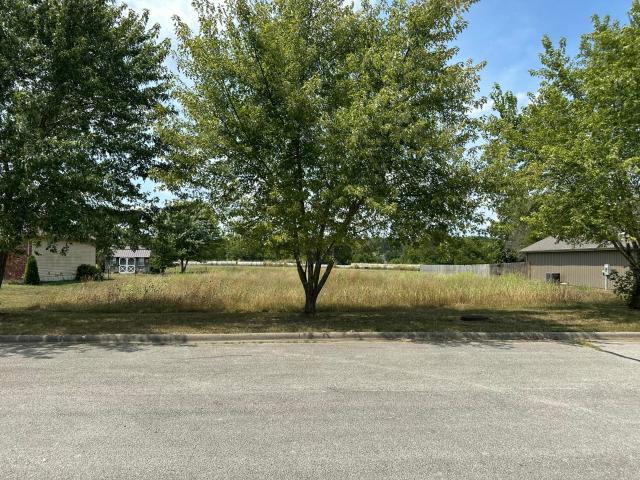 Land for sale in Brighton, Missouri