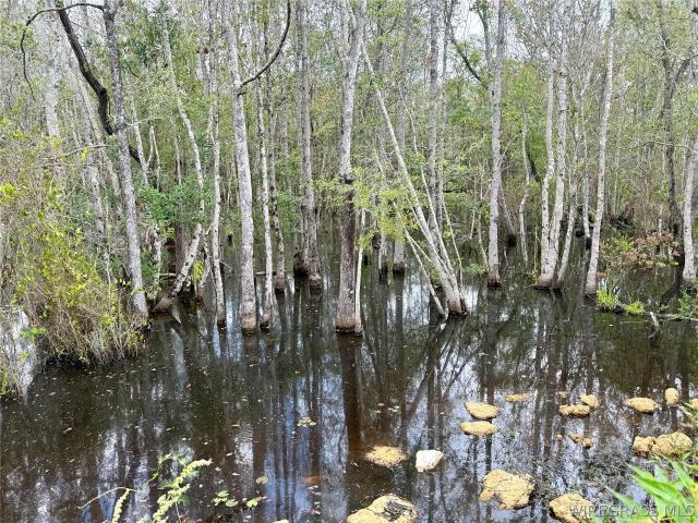 Land for sale in Florala, Alabama