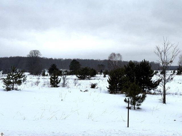 Land for sale in South Boardman, Michigan