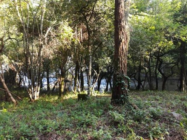 Land for sale in Mopani, Limpopo